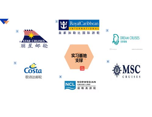 探索涉外職業(yè)教育新路徑》，旅游外語(yǔ)學(xué)院躋身河南省“郵輪登務(wù)才能等級(jí)培訓(xùn)認(rèn)證新方